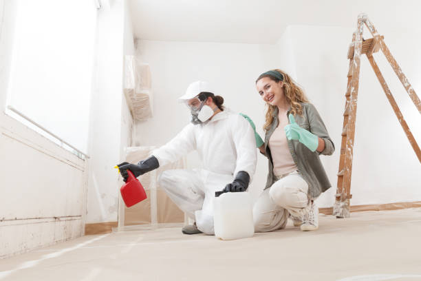 Best Crawl Space Mold Remediation  in Fairfax, OH